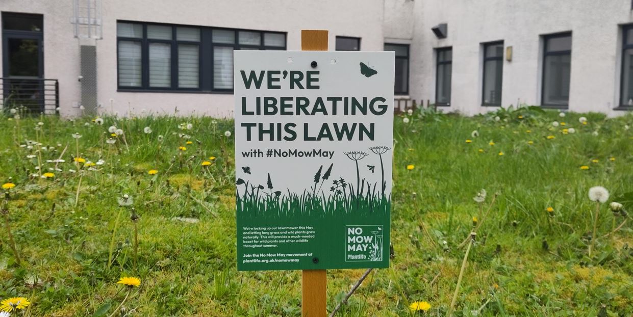 No Mow May sign on Glasgow campus