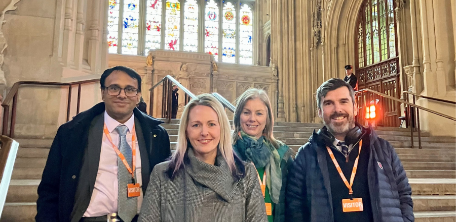 Panel of experts at Westminster