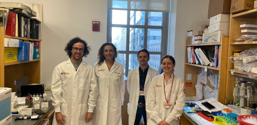 Researchers in the Guzman lab in New York