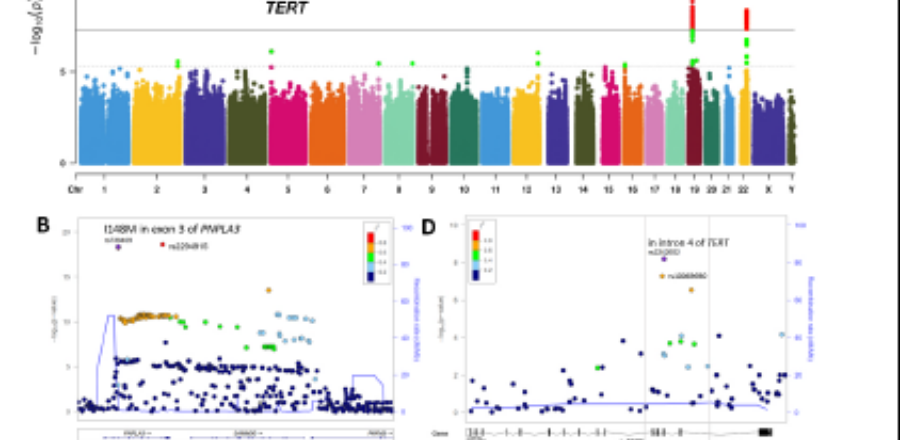 liver cancer graph