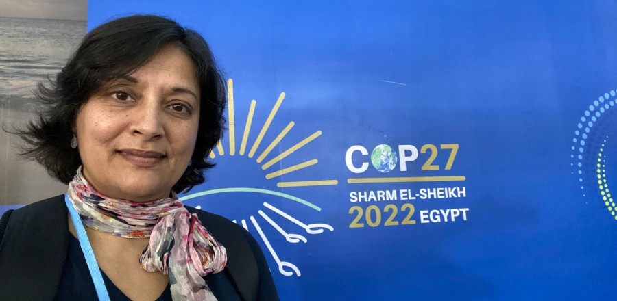 Tahseen Jafry at COP27